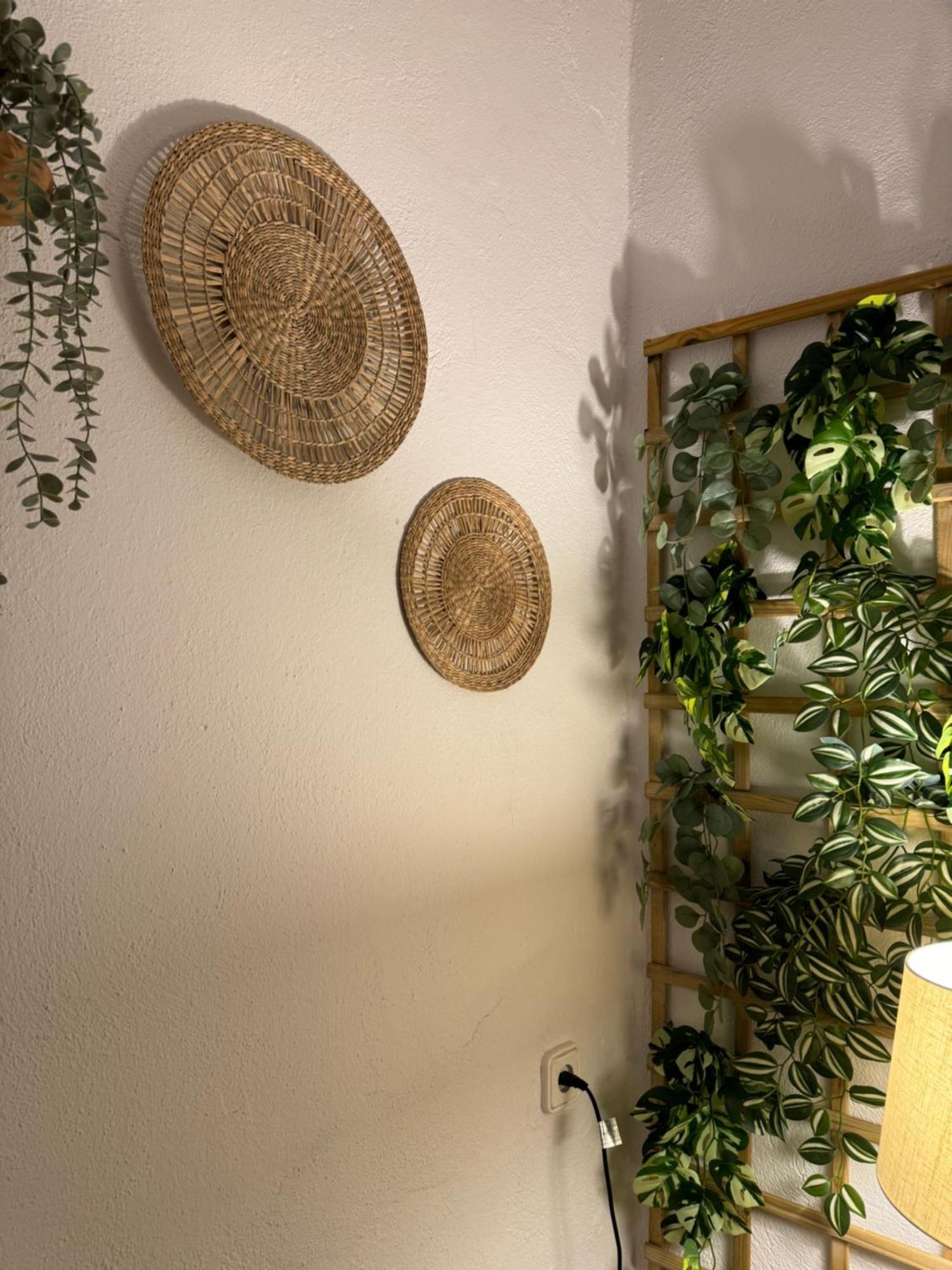 Garden Suites Xativa Casa Rural Dış mekan fotoğraf